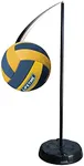 Lifetime 90029 Portable Tetherball 