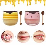 2PCS Bee Lip Balm Honey Pot, Honey & Strawberry Propolis Moisturizing, Hydrating & Prevention Dry and Cracked Lip Scrubs Exfoliator (A)