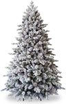 National Tree - 6.5 Foot Snowy Dorc