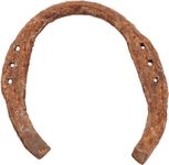 DailyBuy Kale ghode ki Naal/Original Black Horse Shoe for Good Luck and restrict Bad/Evil Energy