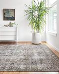 Loloi II LAYLA Collection Area Rug LAY-06 TAUPE / STONE 3'-6" x 5'-6"