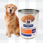 Dog Food For Urinary Health