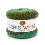 Lion Brand Yarn Company 217-603 Ferris Wheel Yarn, Evergreen, One Skein