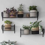 CKB LTD Hanging Basket Shelf Powder Coated Steel Metal Wall Mounted Rack Flexible Wall Storage Shelving - Holds Bathroom Toiletries and Study Stationery Supplies (Medium H12 x W53 x D18.5cm)