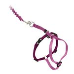 PetSafe Come With Me Kitty Harness and Bungee Leash, Harness for Cats, Large, Dusty Rose/Burgundy