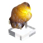 BTSKY Small Size Adjustable Golden Metal Arm Display Stand Easel with Square Acrylic Base, Display Holder for Geodes Rock Mineral Agate Fossil Coral Coin