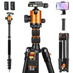 JOILCAN Camera Tripod, 80" Compact Aluminum Tripod Monopod with 360°Panorama Ball Head, Lightweight Travel Tripod with Phone Holder and carrying bag, Max Load 22lbs