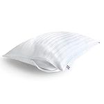 Sealy Soft Comfort Pillow Protector