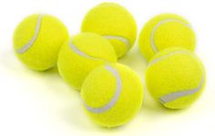 PetPrime Dog Automatic Ball Launche