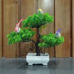 DECOGREEN, PPS for Home Office White Pot Money Plant Bonsai Decor Valentines Day Gift Living Room Tv Panel Table Interior Design Balcony Garden Indoor Outdoor