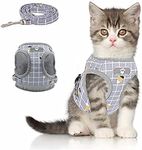 iZiv Cat Harness Leash Set for Walk