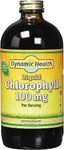 Dynamic Health Liquid Chlorophyll 100mg, 473mL