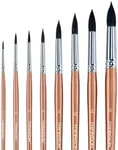 Transon 8pcs Round Watercolor Paint