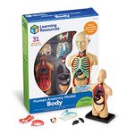 Learning Resources Human Body Model