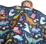 HAOWANER Minky Toddler Weighted Blanket 3lbs, Soft Baby Weighted Blanket for Toddler, Kids Weighted Blanket 3 Pounds, 3lb Weighted Blanket for Toddler, Crib Weighted Baby Blanket for Child, Dinosaur