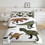 Erosebridal Dino Comforter Twin Size Dinosaur Bedding Sets for Boys,Set of Ancient Dinosaur Bedding Comforter Sets,Jungle Animal Duvet Insert with 1 Pillowcase Lightweight Warm