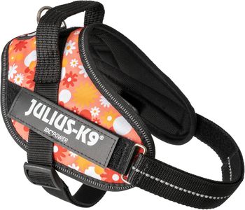 JULIUS-K9 IDC Powerharness S – Pink Dog Harness