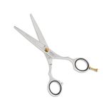 VEGA PROFESSIONAL Pro Style Satin 5" Silver line Hairdressing Scissor, (VPMSC-09)