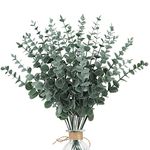 Dremisland 24pcs Eucalyptus Stems Decor Artificial Eucalyptus Leaves Real Touch Artificial Plants Faux Branches for Wedding Bouquets Table Centerpiece Flower Arrangement Farmhouse Home Decor (24PCS)