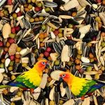 MaF® Parrots/Conure Food 1 Kg,Exotic Seed Blend of 22 Variety Seeds, Nuts with Premium Fruit and Vegetable Pellet Enriched for All Types of Conures,African Grey, Amazon, eclectus,Lovebirds