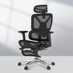 FLEXISPOT ErgoX Ergonomic Office Chair Executive Mesh Desk Chair Swivel WIth Footrest Height Adjustable Seat Headrest Armrest and Independent Lumbar Support Task Chair