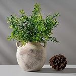 PORCER Ceramic Vase, 5.8 Inch Terra