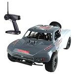 STEDMZ Two-Speed Nitro RC Car for Adult 1/10 20.9IN Gas-Engine Remote Control Truck 70KM/H 2.4G 18CXP Nitro Engine Short Course Rally Vehicle All Terrain Off Road Racing Car 80cc Fuel Tank (Gray)