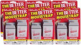 Bulk Buy of 12 Intruder The Better 