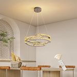 Oninio Modern Crystal Chandelier Dimmable Pendant Light with Remote Control Kitchen Island Lights Height Adjustable Chandelier for Living Room, Dining Room, Bedroom (Dia 50cm)