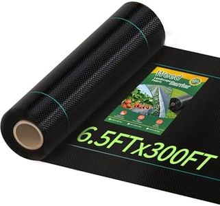6.5ftx300f