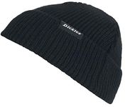 Dickies Woodworth Beanie - Black