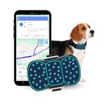 PB1 4G Pet GPS Tracker | Real-Time Live Tracking, Geo-Fence Alerts, Waterproof | Alerts | App & Web Monitoring | GPS Collar Tracker for Dogs & Large Pets Blue Flower 12 Months 4G Data and App