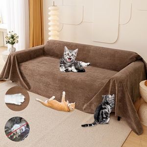 Cat Scratc