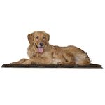 Furhaven 36" x 26" Highly Absorbent Dog Door Mat for Muddy Paws, 100% Washable, Perfect for Entryway, Kitchen, & Bathroom Use - Chenille Shammy Rug - Mud (Brown), Large