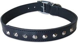 BBD 18-21-inch Studded Leather Coll