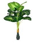 HYPERBOLES Artificial Money Plant for Home Decor Indoor Office Plants - 3 Feet