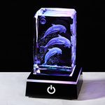 3D Crystal Engraved 3 Dolphins Figurines Statue Dolphin Gifts for Women Men, Birthday Gifts for Dolphin Lovers Friends Glass Ornaments with LED Base for Home Decoration