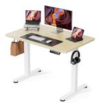 ErGear Height Adjustable Electric Standing Desk, 40 x 24 Inches Sit Stand up Desk, Small Memory Computer Home Office Desk (Natural)