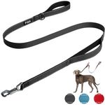 Fida Heavy Duty Dog Leads for Medium/Large Dogs, 1.5M / 5FT Traffic Handle & Advanced Hook for More Control, Reflective Dog Lead for Daily Walking & Training (Black)