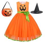 MODERNAZ Pumpkin dress for girls | unisex halloween pumpkin vegetable costume children fancy dress 2-10 yrs (Orange pumpkin girl, 2-3 years)