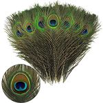 JEOPKO 15Pcs Peacock Feathers, Natural Large Feathers Long, Peacock Tail Feather for Wedding, Christmas Party Decoration, Vase Decoration Feathers, Peacock Costume, DIY Art & Craft.