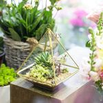 HUWIX Geometric Glass Terrarium for Succulent, Air Plants - 5.9x5.9x7.87 Inches - Pyramid Shape Wall Hanging Glass Planter Pot, Home Garden Tabletop Decoration, Handmade, Gold (Terrarium Only)