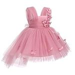 Flower Girls Butterfly High Low Tutu Dress for Kids Baby First Communion Wedding Party Dresses Toddler Little Princess Pageant Bridesmaid Birthday Baptism Prom Tulle Gowns Dusty Pink 18-24 Months