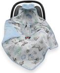 CAR SEAT Baby Blanket/Footmuff/Cosy