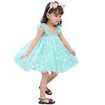 AGQT Baby Girls Daisy Tutu Dress Sleeveless Kids Tulle Birthday Party Dresses Casual Playwear Tunic Babydoll Dress Sky Blue Daisy-Lace Size 12-18 Months
