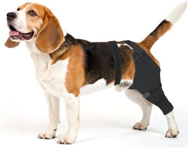 Dog Rear L