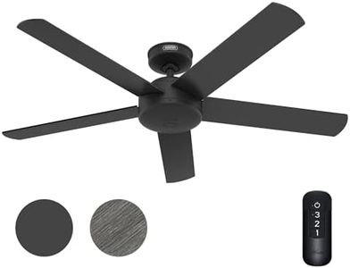 Hunter Fan