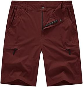 BASUDAM Men's Cargo Hiking Shorts Stretch Quick Dry Lightweight Work Shorts 6 Pockets for Camping Travel, Wine Red, 34