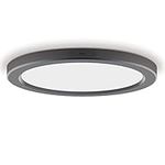 NOVELUX Black Slim Panel Ceiling Lights Dimmable Damp-Rated, 11 inches 24W Super Bright, Ultra-Thin Round Surface Mount Panel Ceiling Lights for Toilet, Basement, Hallways, Bathroom