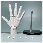 1:1 Flexible Hand Model, Joints Moveable Artists Manikin Hand Figure for Displaying Sketching and Painting,(White,Right hand)